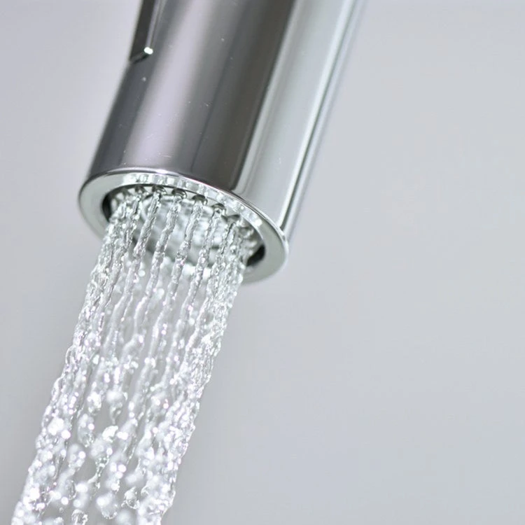 Hansgrohe Focus Single Hole Pull Down Kitchen Faucet With Dual Spray - Image 4