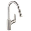 Hansgrohe Focus Single Hole Pull Down Bar/Prep Faucet With Dual Spray