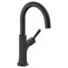 Hansgrohe Locarno Single Handle Bar/Prep Faucet