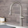 Sellette Traditional Single Handle Pull Down Kitchen Faucet With Soap Dispenser And Deck Plate
